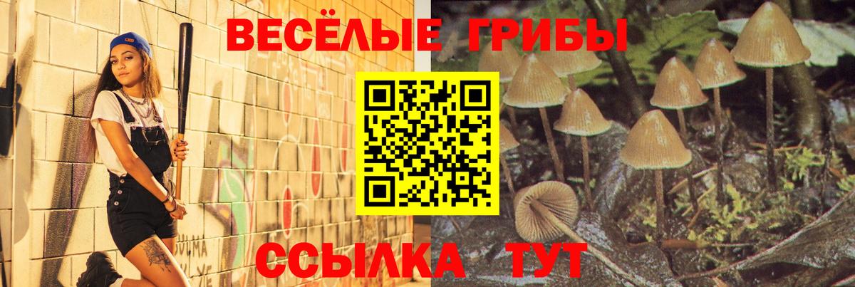 Галлюциногенные грибы мицелий Луга