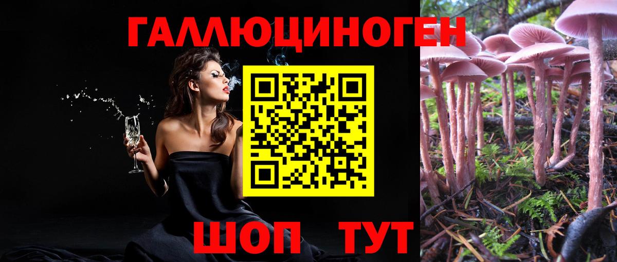 Луга  Галлюциногенные грибы ЛСД  Вход с VPN 
